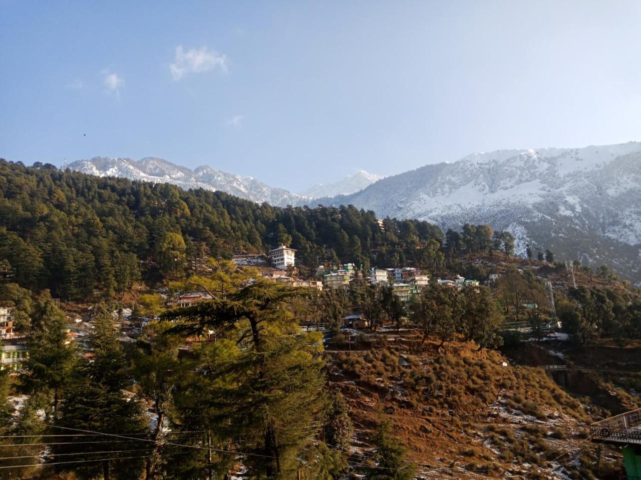Hotel Pine Spring Dharamsala Zewnętrze zdjęcie