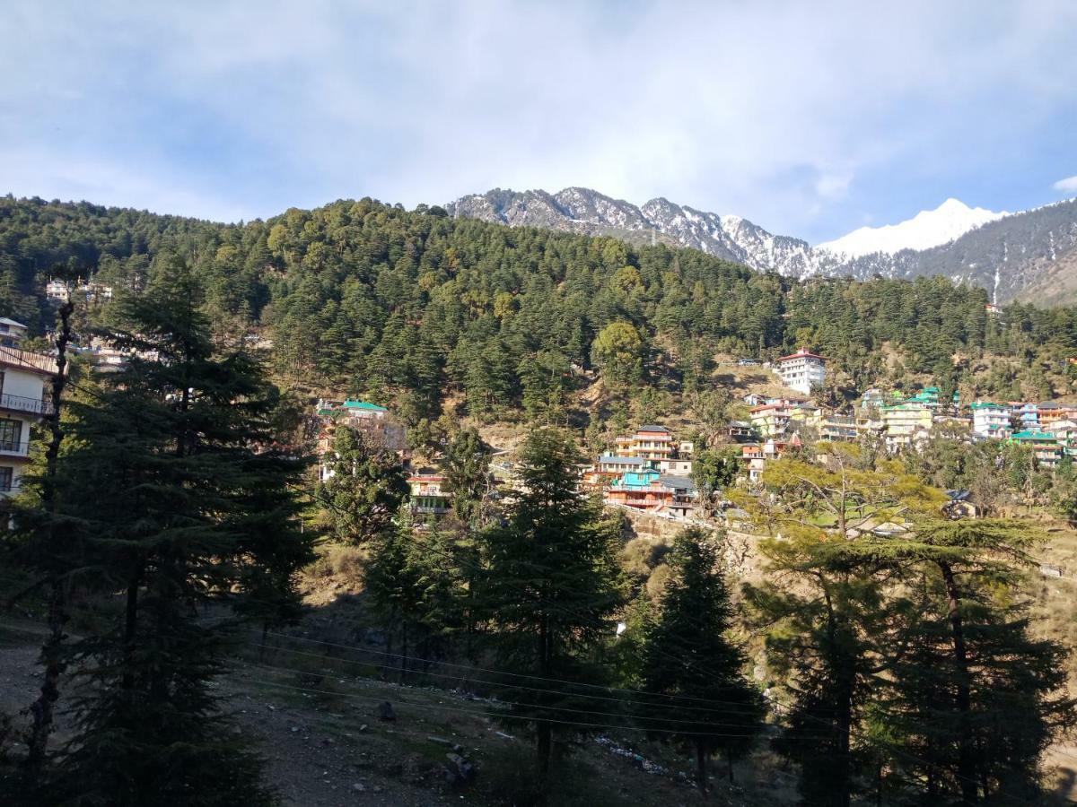 Hotel Pine Spring Dharamsala Zewnętrze zdjęcie