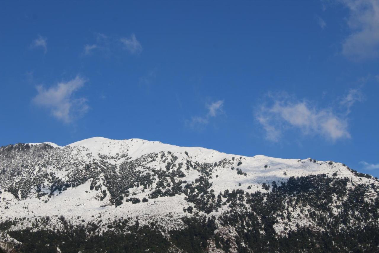 Hotel Pine Spring Dharamsala Zewnętrze zdjęcie
