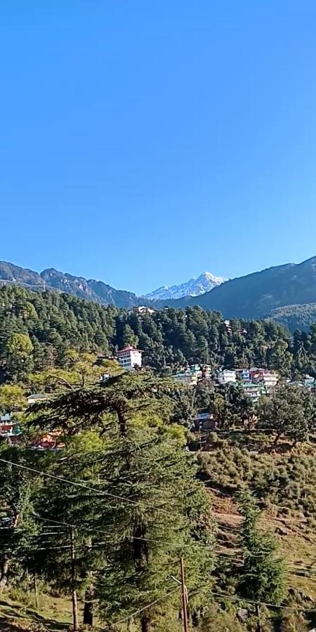 Hotel Pine Spring Dharamsala Zewnętrze zdjęcie